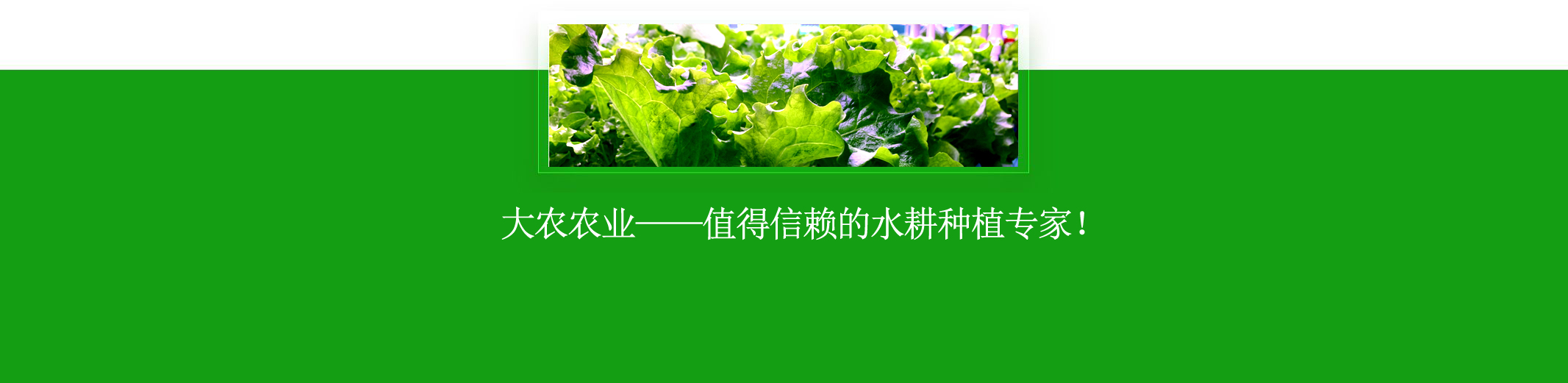 &#20248;&#20048;&#22253;