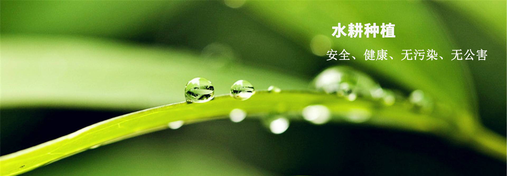 &#20248;&#20048;&#22253;